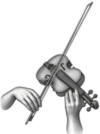 VIOLON